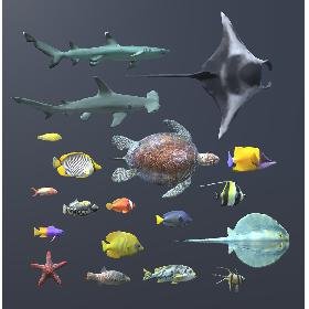Coral Fish Pack